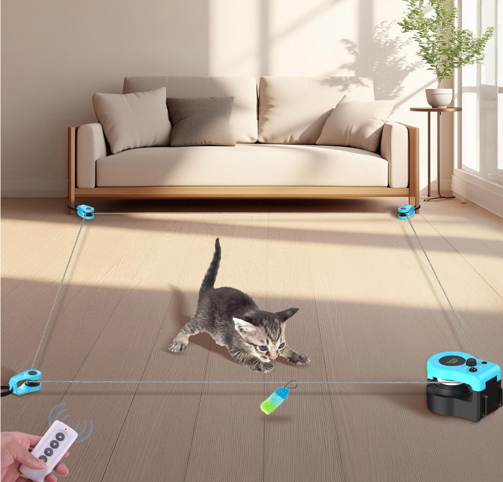 Zoomie Mouse Toy